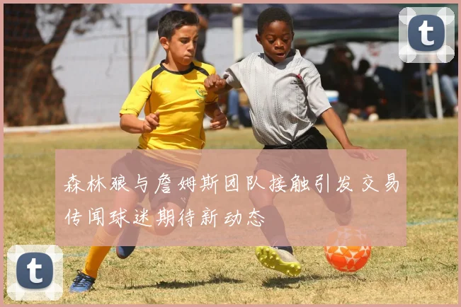 森林狼与詹姆斯团队接触引发交易传闻球迷期待新动态